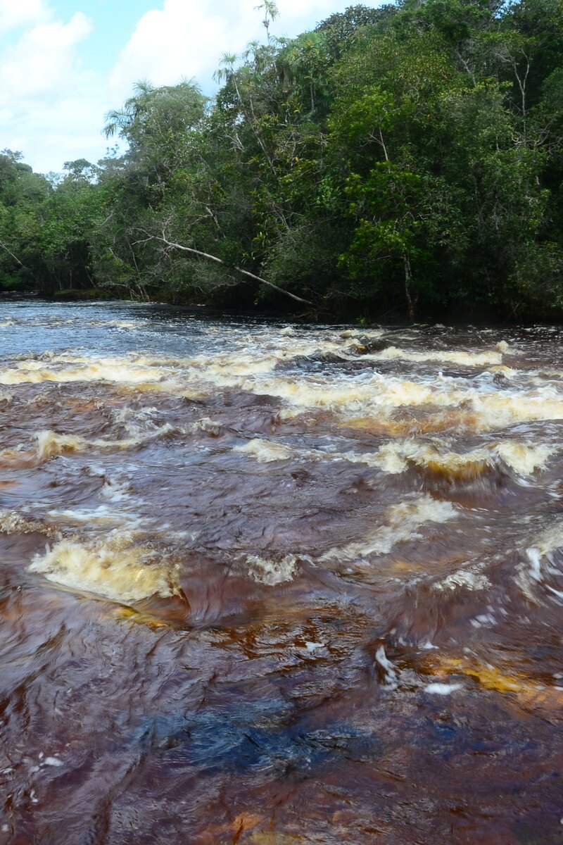 Corredeiras da Cachoeira das Lajes sobre a laje de pedra, com a mata nas duas margens